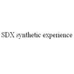 SDX Synthetic Experience